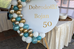 1_ROJSTNI17